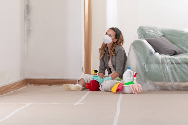 Reliable Mold Testing contractor in Annapolis Junction, MD by WQB Mold Removal